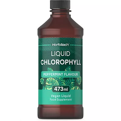 Chlorophyll Liquid Drops For Water 100mg | 473 ML | Mint Flavour | By Horbaach • £17.99