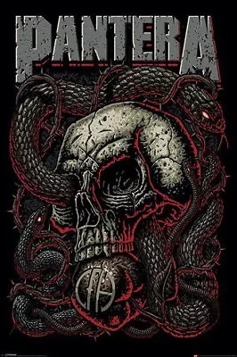 92137 PANTERA MUSIC SNAKE EYE Wall Print Poster AU • $40.65