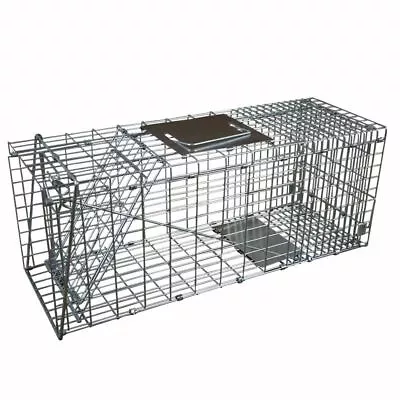 Live Humane Cat Trap For Stray Cats -1 Pack Raccoon Trap Squirrel Trap  • $59.23