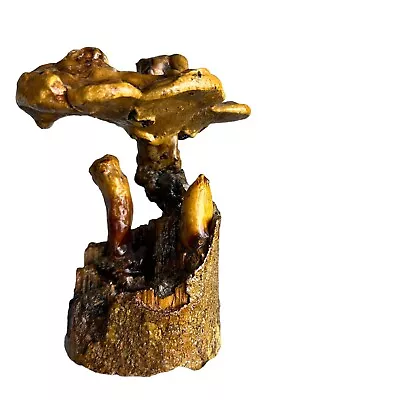 Mushroom Root Sculpture 7” Home Decor Sculpture • $67.49