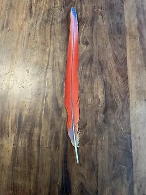 Macaw Parrot Feather Scarlet 20 1/2” • $10