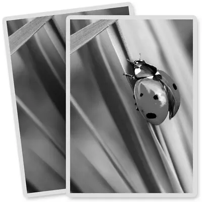 2 X Vinyl Stickers 7x10cm - BW - Ladybird Insect Bug  #36228 • £3.99