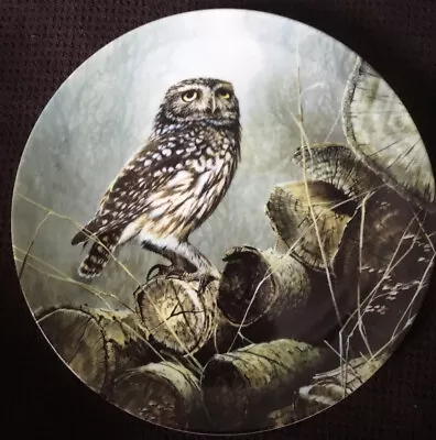 Wedgwood Bond's Owls The Little Owl Terence James Bond Plate With Certificate • £5