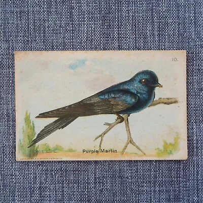 PURPLE MARTIN #10 Arm & Hammer Useful Birds Of America SIXTH Series Card 1933 • $7.49