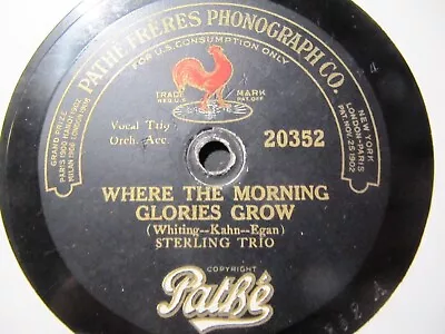 1918 PATHE Where The Morning Glories Grow For The Two STERLING TRIO PATHE 20235 • $9.99