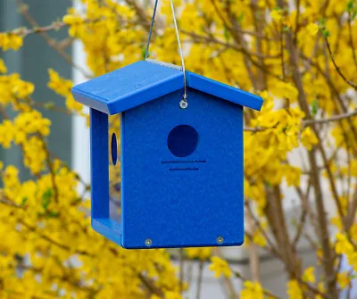 Kettle Moraine Recycled Hanging Bluebird Mealworm Bird Feeder • $50