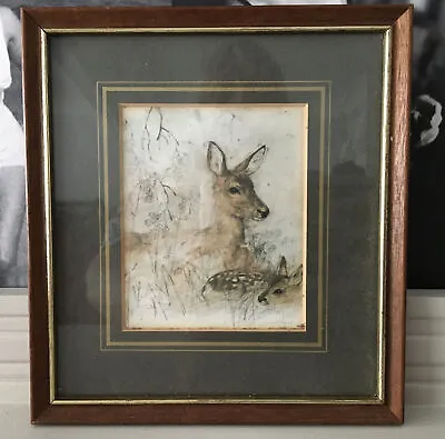 £20 • Buy Vintage Print Mads Stage? Deer & Fawn Framed