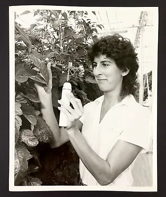 1985 Epcot Center Disney World Tomato Pollination Land Pavilion VTG Promo Photo  • $14.50