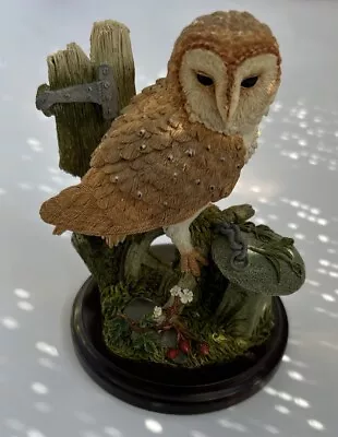 Country Artists Barn Owl With Straddle Stione Figurine Bird David Ivey • £6.99