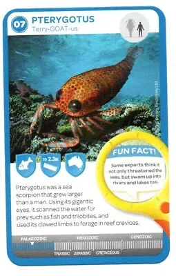 Woolworths Ancient Animals Trading Swap Collector's Single Card #07 Pterygotus • $1.20