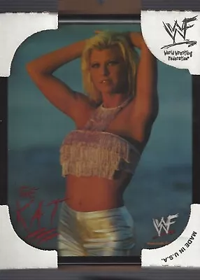 Stacy Carter Miss Kitty The Kat WWE WWF Vintage Framed 8x10 Photo NEW In Package • $7.99