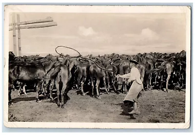 Hungary Postcard Herdsman Lasso Swinging Horses Scene C1940's RPPC Photo • $25.97