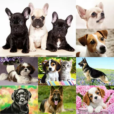 $13.18 • Buy Full Drill 5D Diamond Painting Dogs Art Embroidery Handmade Crafts Mural Gifts