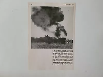 First Division Marines Flame Throwers Okinawa 1945 World War 2 WW2 Picture Sheet • $16