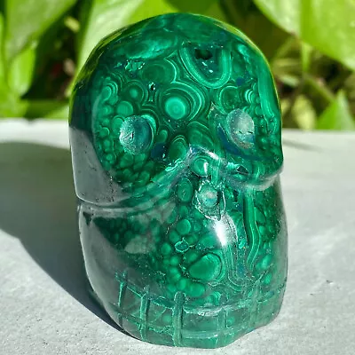 1.48LB Natural Malachite Quartz Skull Hand Carved Crystal Skull Reiki Healing • $0.99