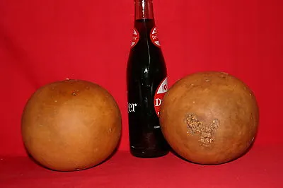 $15 • Buy Gourds 3 Cannon Ball Gourds ( Dried And Cleaned)   