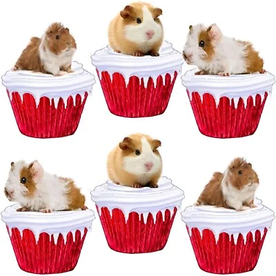 Guinea Pig Stand Up Cake Toppers Edible Kids Birthday Party Decorations • £2.25