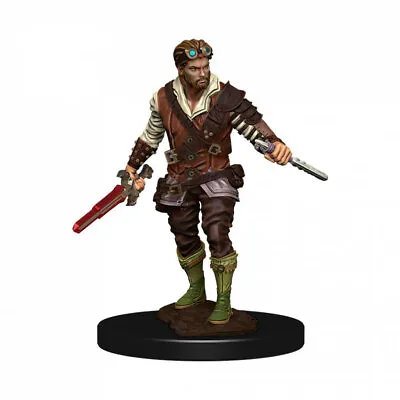 $20.95 • Buy Dungeons & Dragons Premium Male Human Rogue Pre-Painted Figure