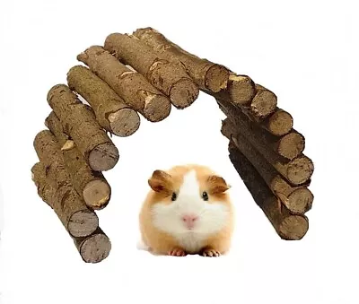 Pet Animal Arch Wooden Bridge Mouse Hamster Rat Gerbil GuineaPig ChinchillaRabit • £6.29