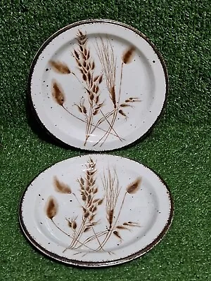 Midwinter Stonehenge 7  Side Plates X2 Wild Oats Pattern In Excellent Condition  • £12.99