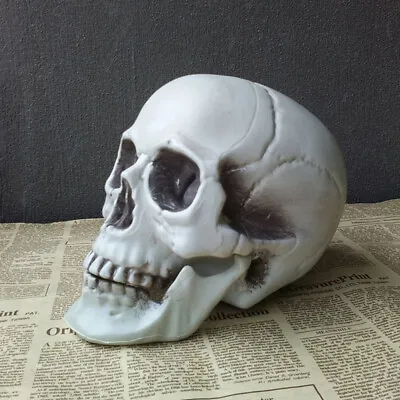 Halloween  Artificial Skull Head Model Skull Bone Scary Horror Skeleton Orna SM • £2.21