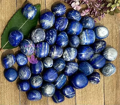 Wholesale Lot 2 Lbs Natural Lapis Lazuli Tumble Healing Energy Nice Quality • $38