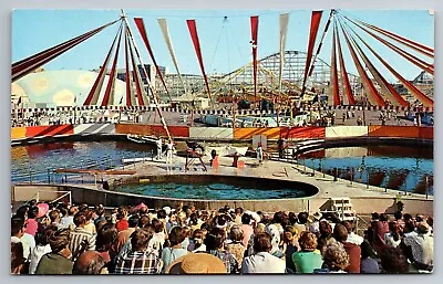 The Sea Circus Pacific Ocean Park Santa Monica CA Seals Postcard N412 • $5.80