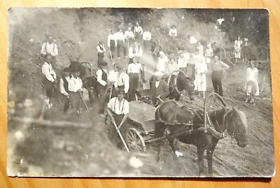 Large Group Of Workers & Draught Horses At Sand Quarry Latvia? Real Photo Rppc • $3
