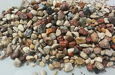 $19.99 • Buy 15  Lbs Fish Tank Rock Pebbles Substrate And Small River Stones 