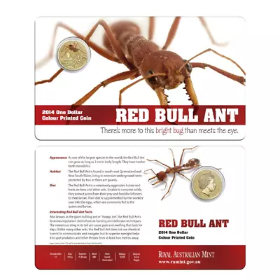 2014 $1 Colour Pinted Uncirculated Coin:  Bright Bug - Red Bull Ant.  • $4.25