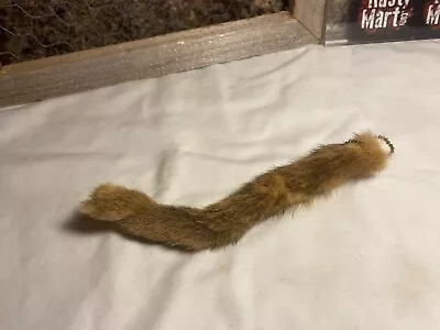 Tanned Mink Tail Fur Skin Pelt Taxidermy Hide Part • $9.09