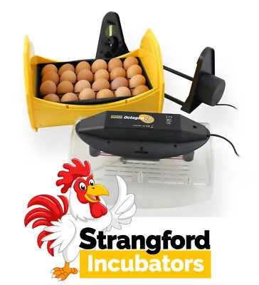 £224.99 • Buy BRINSEA Octagon 20 ECO Incubator (WITH CRADLE) (FULLY AUTOMATIC) (Poultry, Eggs)