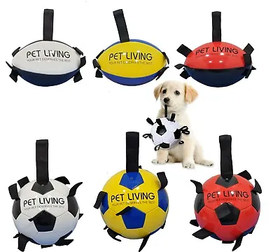 £15.95 • Buy Football, Rugby Ball For Dog Toys Puppy Large Dogs Outdoor Training Pets Game 