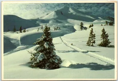 Postcard - Ski-slopes In Mount St. Helens Washington • $3.46