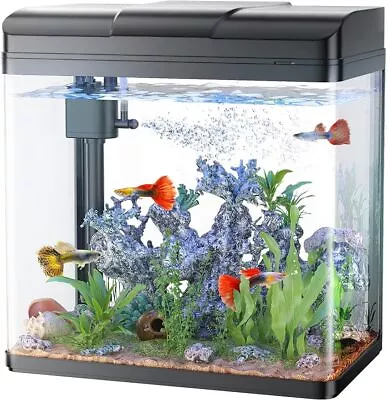 Fish Tank 3 Gallon Glass Aquarium With Air Pump LED Cool Lights And Filter • $45.99