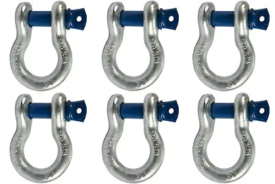 6 Lot 5/8  D Ring Bow Shackle Screw Pin Clevis Rigging Jeep Towing 3.25 Ton • $50.22