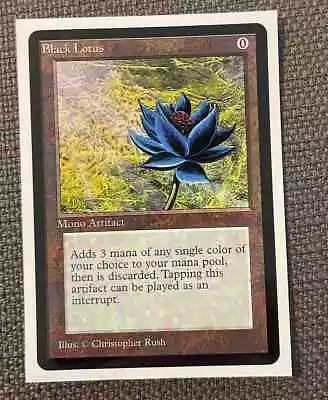 MTG Black Lotus Sleeve WOTC Exclusive FREE SHIPPING • $6