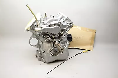 $254.18 • Buy Briggs & Stratton VANGUARD V-TWIN SHORT BLOCK 699427 23 HP HORIZONTAL SHAFT
