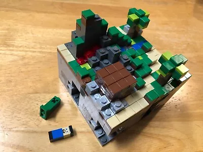 LEGO Ideas Minecraft Micro World: The Forest (21102) Used/Complete/1 Manual • $39