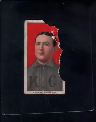 1909 T206 #427 William Hallman Polar Bear   P X2489414 • $34