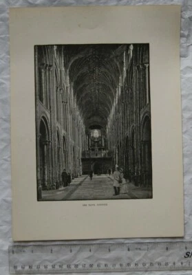 £2.50 • Buy 1890 Engraving The Nave, Norwich Cathedral