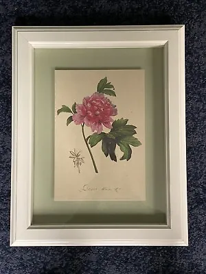 IKEA Vintage Print Art Framed Flower Botanical Bispgarden Poland Picture Gallery • £15