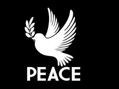 DOVE PEACE Anti War Symbol Vinyl Decal Car Truck Wall Sticker CHOOSE SIZE COLOR • £6.55