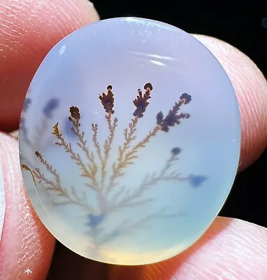 22.3ct Natural Beautiful Agate Mica Tree Crystal Polished Specimen • $6.50