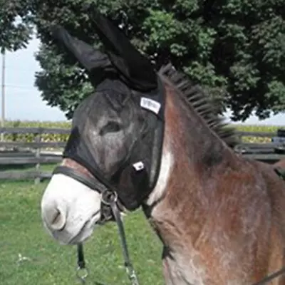 Cashel Company Quite Ride Fly Mask Mule Size With Ears • $33.99