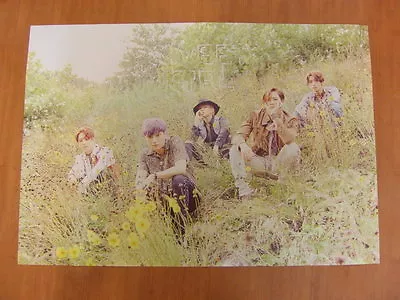 B1A4 - Sweet Girl (BOY Ver.) [OFFICIAL] POSTER *NEW* K-POP • $4.99