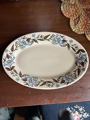 McNicol Roloc Restaurant Ware Floral Air Brush Floral Band Plate Platter 9” USA • $4.99