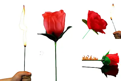 One The Torch To Rose Magic Trick – A Mesmerizing Illusion Of Transformation • $6.50