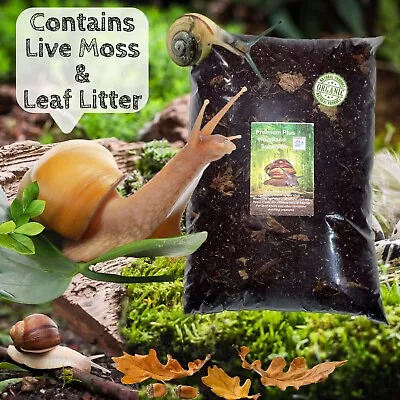 £10.99 • Buy African Land Snail Substrate PREMIUM PLUS Woodland Snail Soil GALS Moss + Leaves