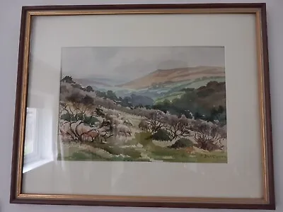 Framed Original Watercolour Painting Of Dartmoor By Pamela Des Clayes. Signed. • £100